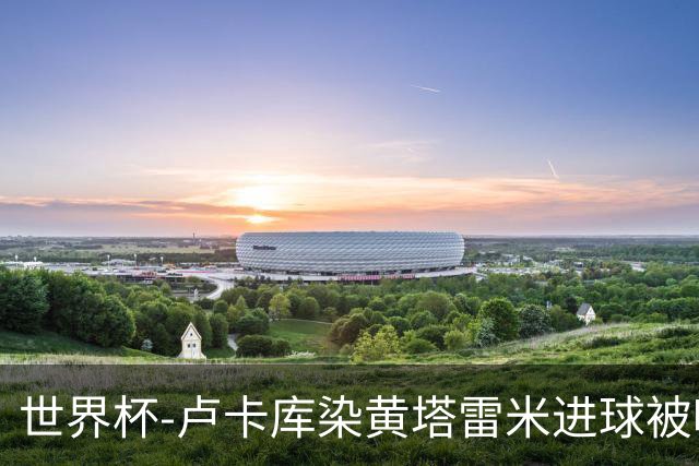 世界杯-卢卡库染黄塔雷米进球被吹 比利时半场0-0伊朗